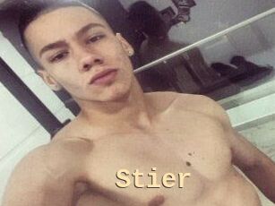 Stier