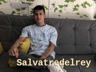 Salvatredelrey