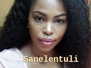 Sanelentuli