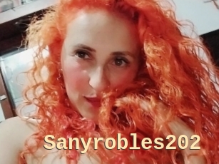 Sanyrobles202