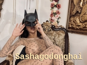 Sashagodonghai