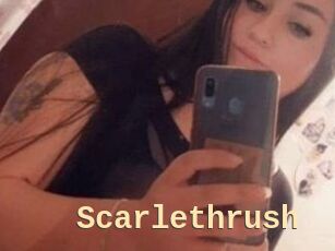 Scarlethrush
