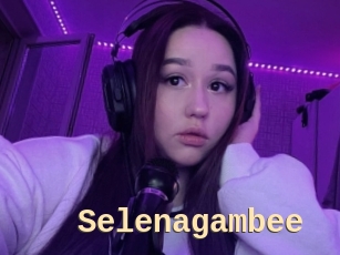 Selenagambee