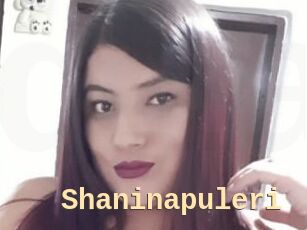Shaninapuleri