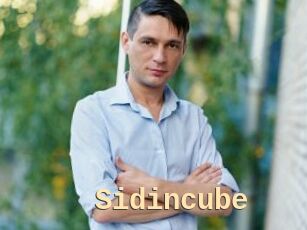 Sid_incube