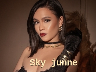Sky_junne