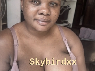 Skybirdxx
