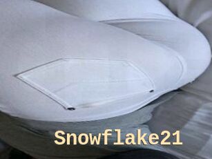 Snowflake21
