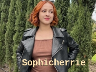 Sophicherrie