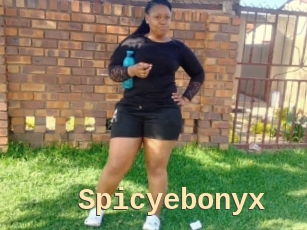 Spicyebonyx