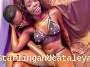 Starlingandcataleya