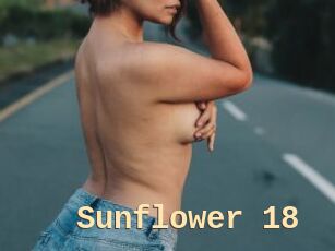 Sunflower_18