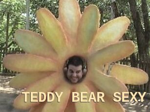 TEDDY_BEAR_SEXY