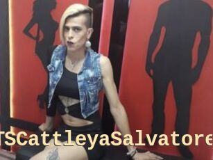 TSCattleyaSalvatore
