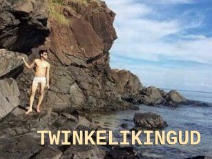 TWINKELIKINGUD