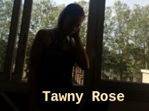 Tawny_Rose