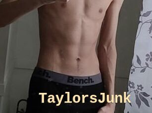 TaylorsJunk