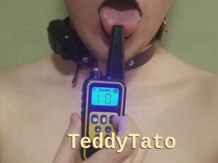 TeddyTato