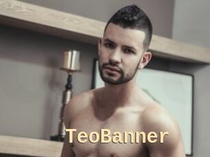 TeoBanner