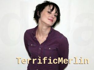 TerrificMerlin