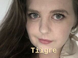 Tiigre_