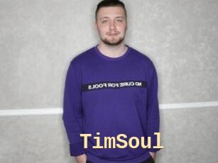 TimSoul