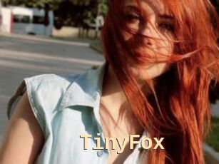 TinyFox