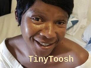 TinyToosh