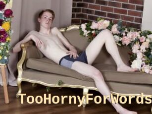 TooHornyForWords