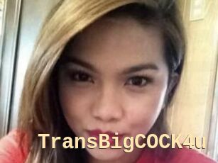 TransBigCOCK4u