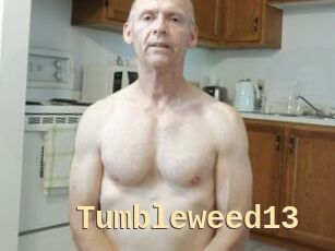 Tumbleweed13