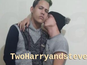 TwoHarryandsteve