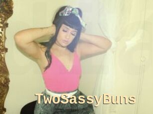 TwoSassyBuns