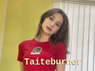 Taiteburner