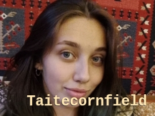 Taitecornfield