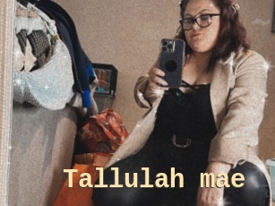 Tallulah_mae