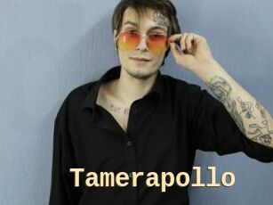Tamerapollo