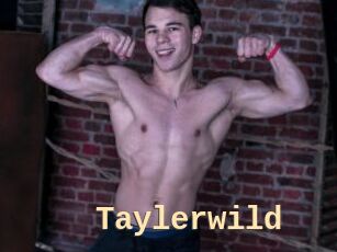 Taylerwild