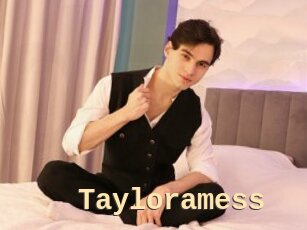 Tayloramess