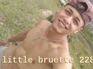The_little_bruette_228
