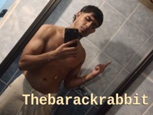 Thebarackrabbit