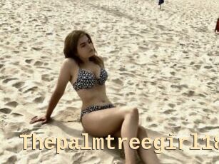 Thepalmtreegirl18