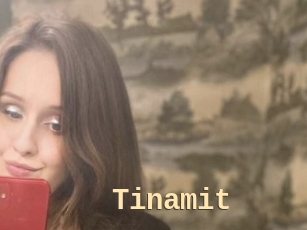 Tinamit