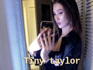 Tiny_taylor