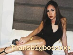 Transbigbossxxx