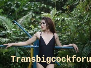 Transbigcockforu