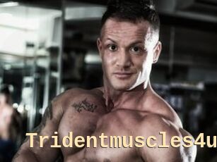 Tridentmuscles4u