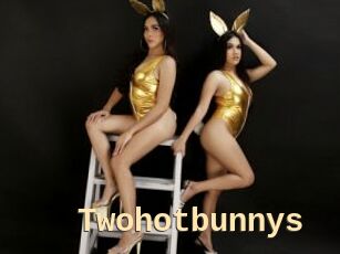 Twohotbunnys