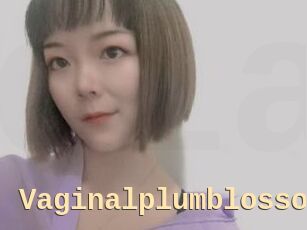 Vaginalplumblossom