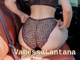 VanessaLantana